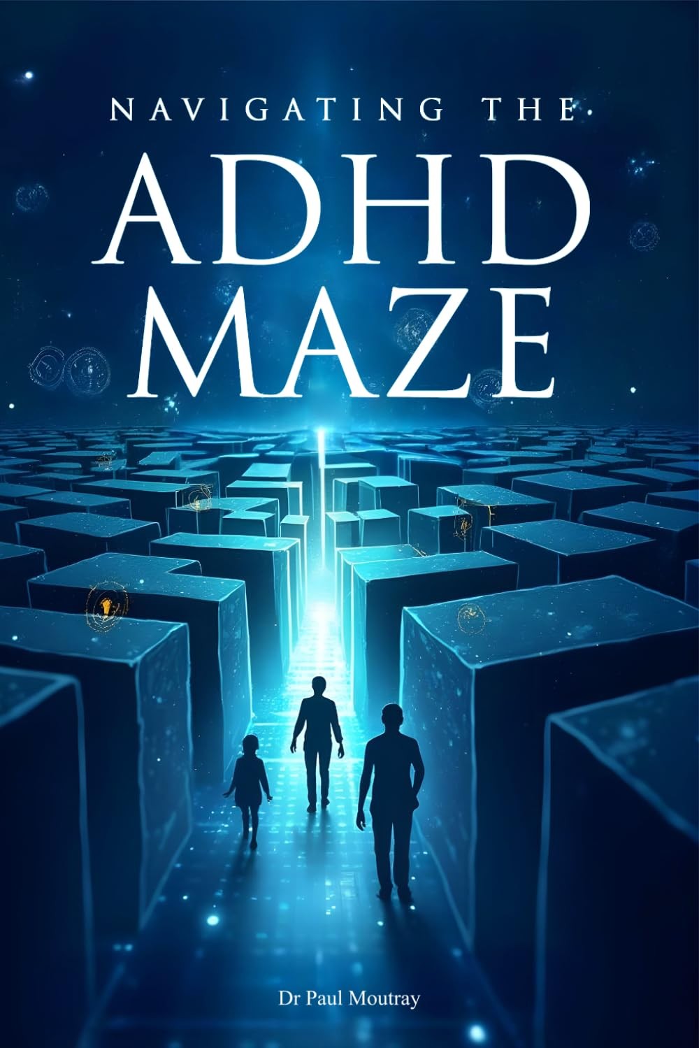 Navigating the ADHD Maze — published book cover